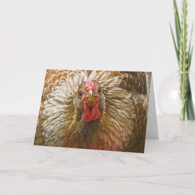 Carte Wyandotte Hen Lacée D'Or (Devant)