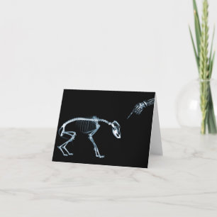 Carte X-Ray Skeletons Blue Bad Chien