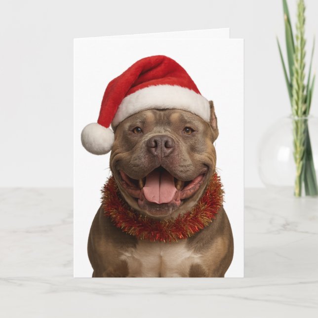 Carte XL Bully in a Santa hat Christmas card (Devant)