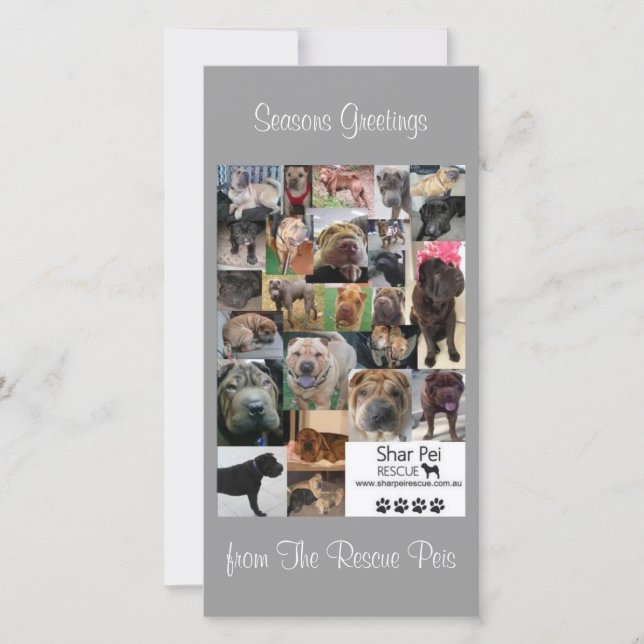 Carte Xmas Secourt Shar Pei (Devant)