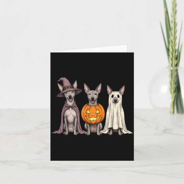 Carte Xoloitzcuintli fantôme effrayant Citrouille Hallow (Devant)