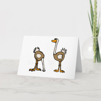 Carte XX autruches en sable