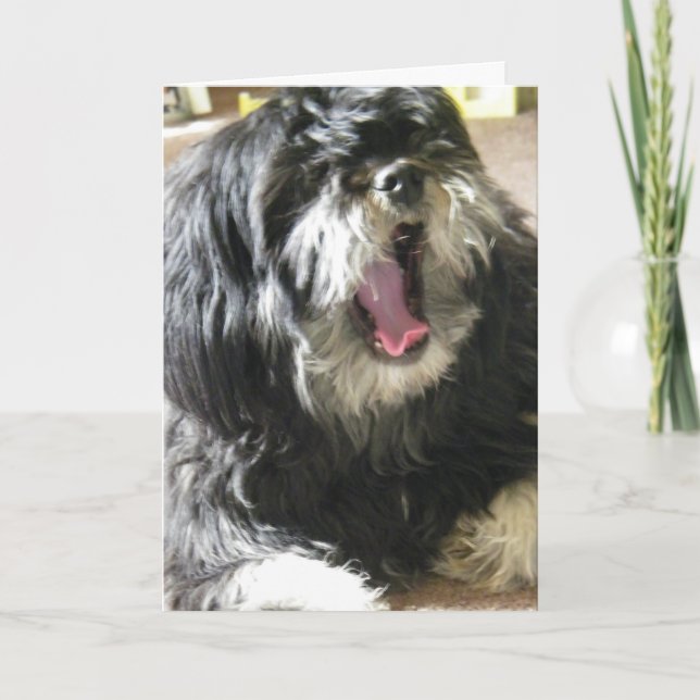 Carte YAWNING CUZ JE SUIS GARÉ 40e ANNIVERSAIRE (Devant)