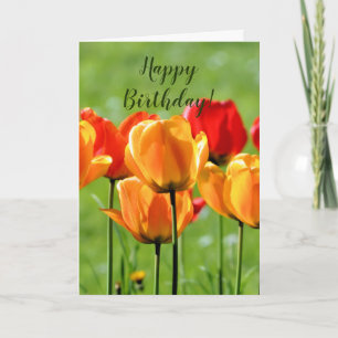 Carte Yellow And Red Tulips