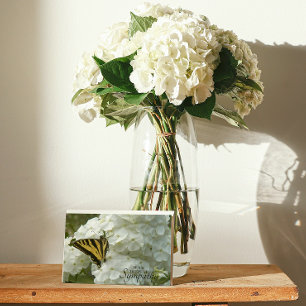 Carte Yellow Butterfly on White Phlox Floral Sympathy