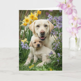 Carte Yellow Lab Mom Mother’s Day Love