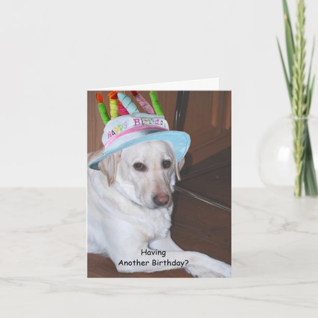 Carte Yellow Labrador Retriever à Birthday Hat (Devant)