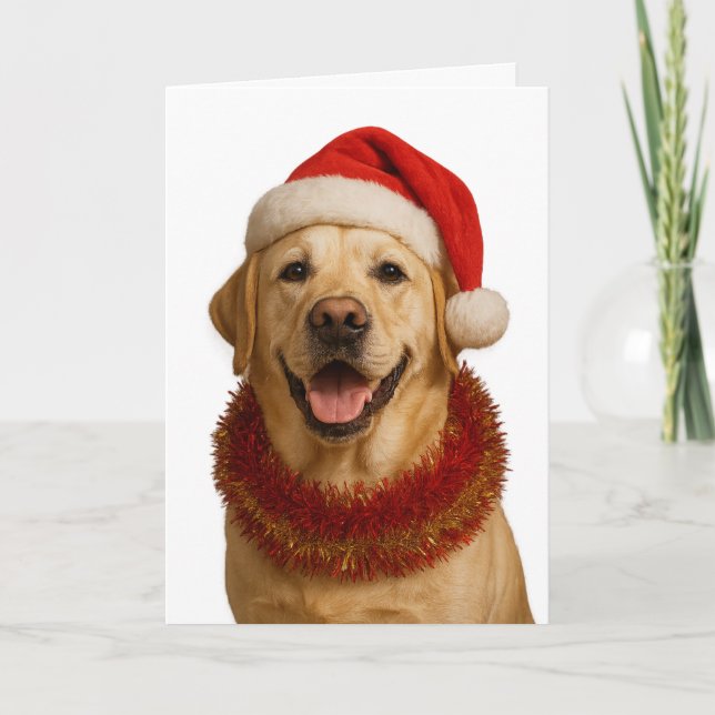 Carte Yellow Labrador Retriever Christmas card (Devant)