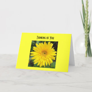Carte yellowgerberdaisy, pensant à vous