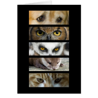 Carte - yeux d'animaux