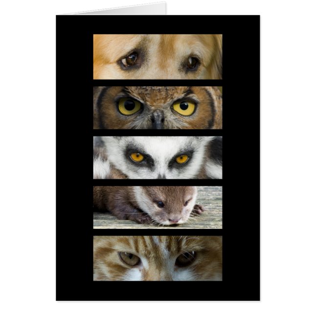Carte - yeux d'animaux (Devant)