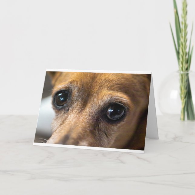 Carte Yeux de chien (Devant)