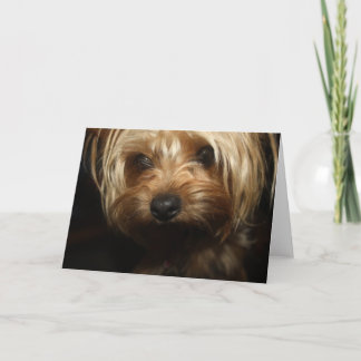 Carte Yorkie