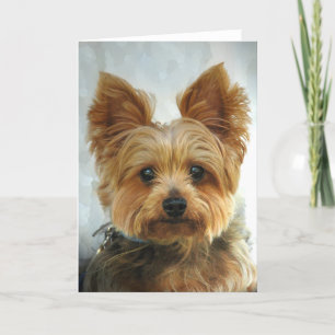 Carte Yorkie