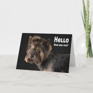 Carte Yorkie chiot mignon d'amour Yorkshire Terrier Bonj
