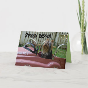 Carte Yorkie en voiture Anniversaire
