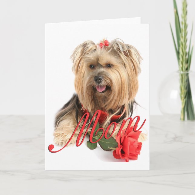 Carte Yorkie et rose rouge (MAMAN) (Devant)