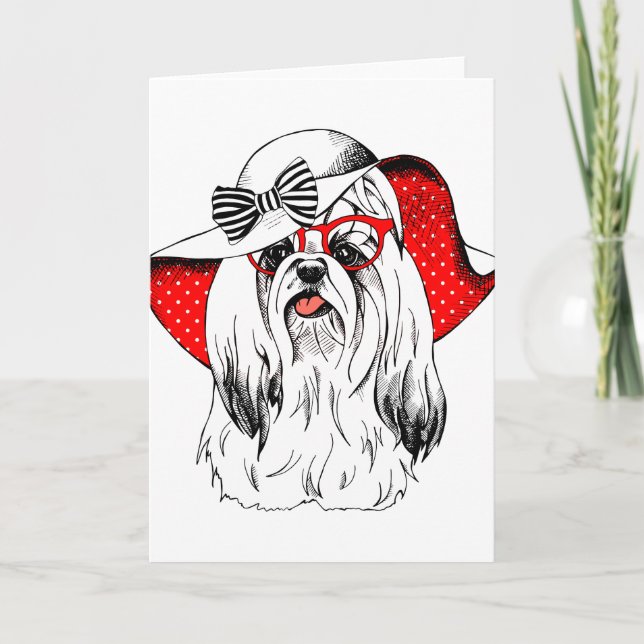 Carte Yorkie Fashion Shoot (Devant)