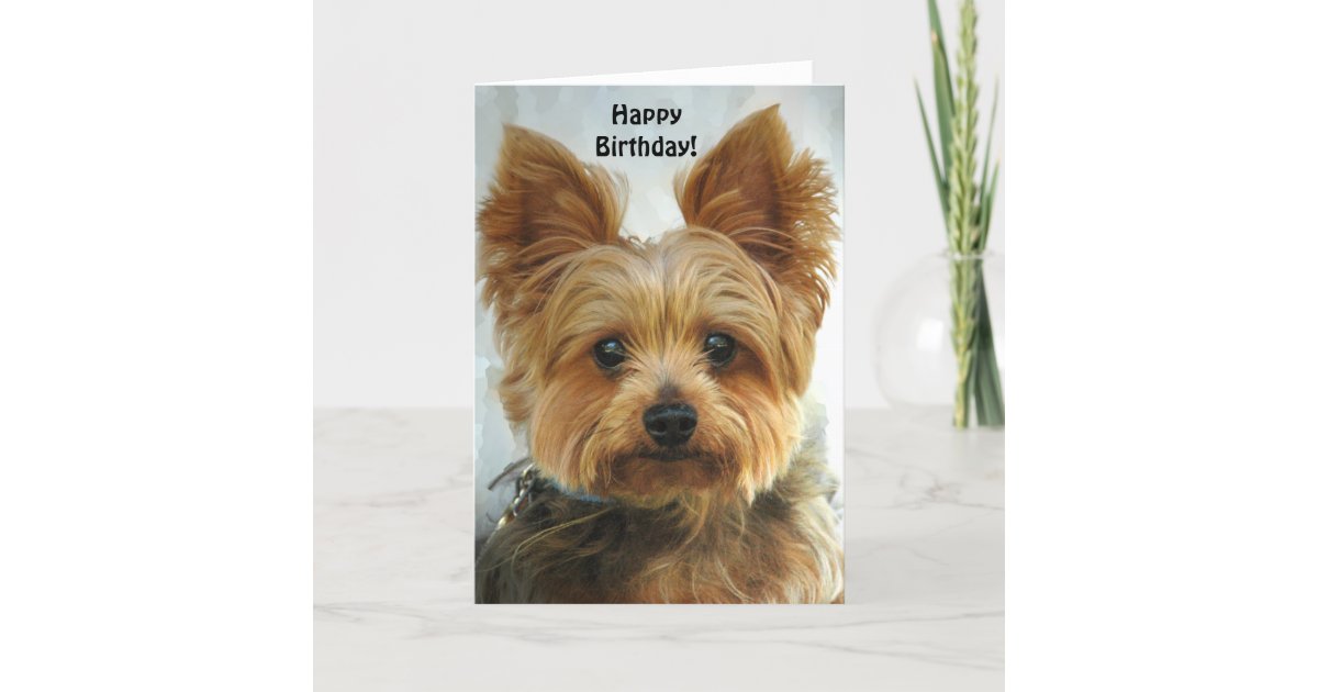 Carte Yorkie Joyeux Anniversaire Zazzle Fr