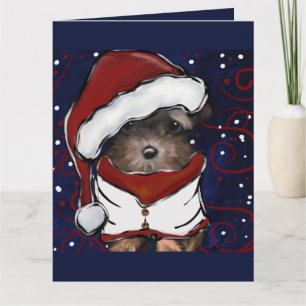 Carte Yorkie Poo