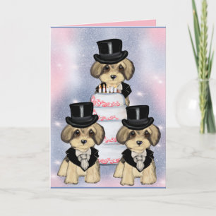 Carte Yorkie Poo