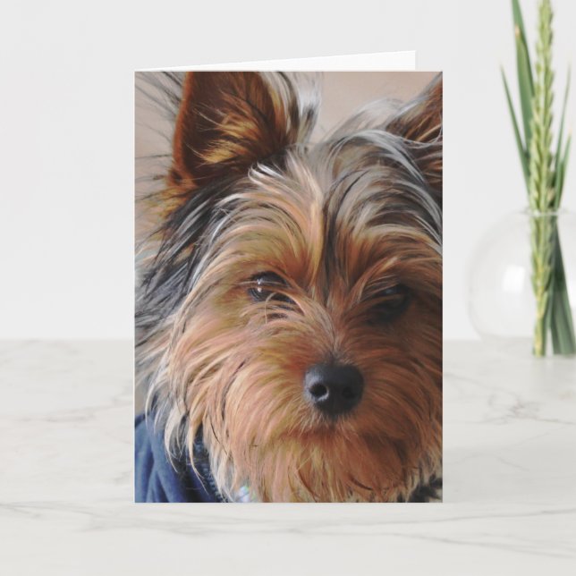 Carte Yorkie Terrier (Devant)