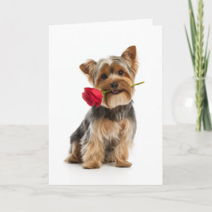 Carte Yorkie Valentine – Tout petit chien, grand amour