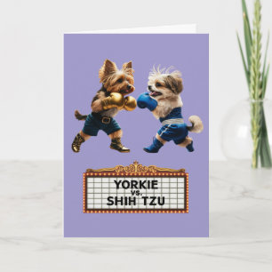 Carte Yorkie vs Chih Tzu