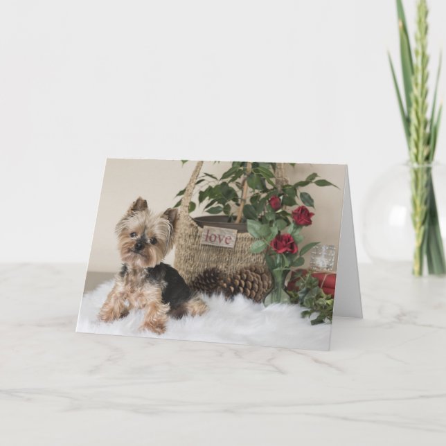 Carte Yorkie (Yorkshire Terrier) Valentine's (Devant)