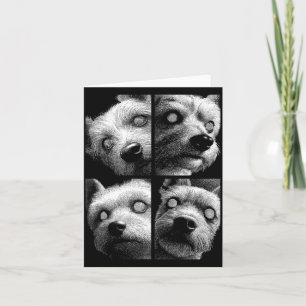 Carte Yorkshire Terrier Hypnotique Yeux Impairs Weirdcor