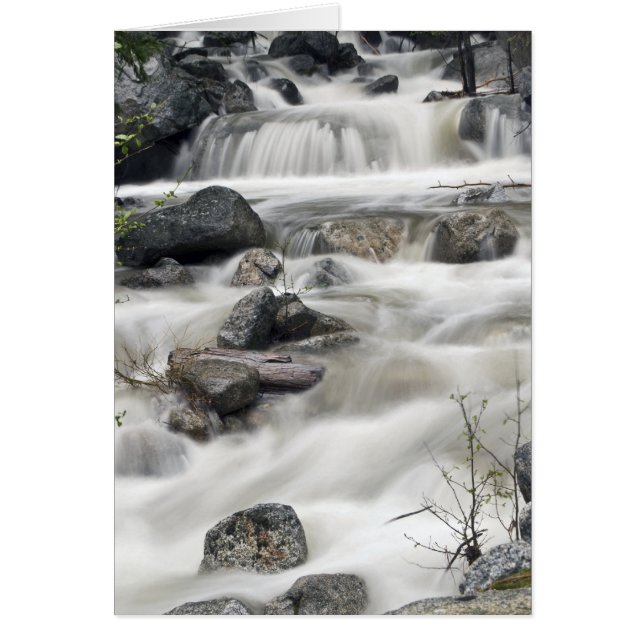 Carte Yosemite #3 (Devant)