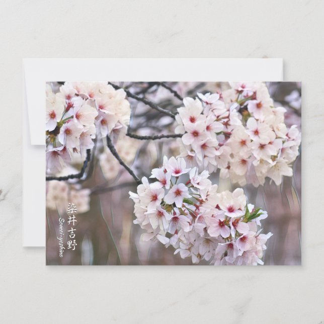 Carte Yoshino Cherry (Devant)