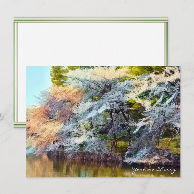Carte Yoshino Cherry: Flat Card (Devant / Derrière)