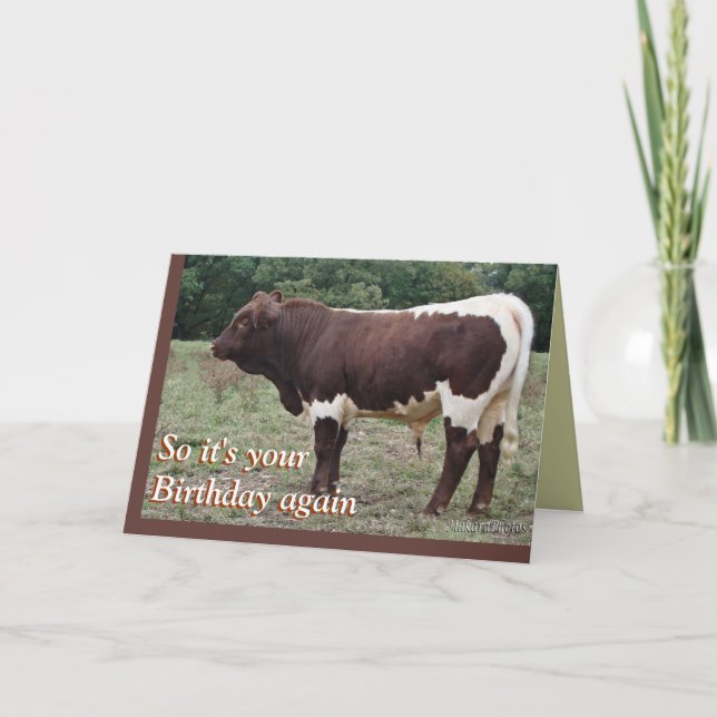 Carte Young Pinzgauer Bull-customize (Devant)