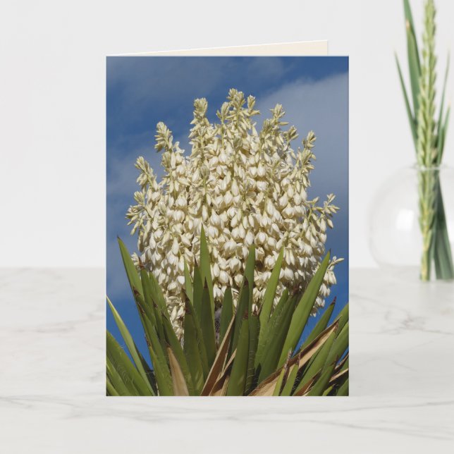 Carte Yucca en fleurs, Fleurs, Southwest Blank Greeting (Devant)