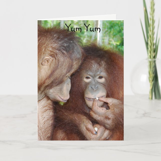 Carte Yum Yum Bonne Anniversaire Traitements (Devant)