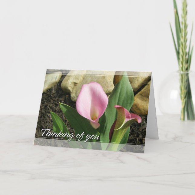Carte Zantedeschia pensant à vous (Devant)