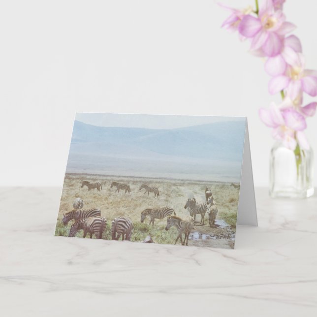 Carte Zebra Wild Birthday Wings (Orchidée)