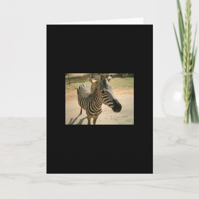 Carte Zèbre (Devant)