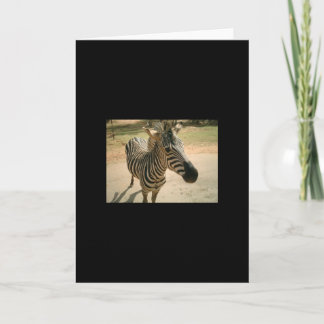 Carte Zèbre