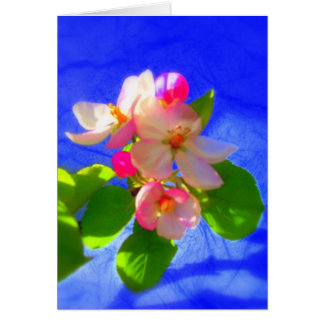 Carte Zen Blossoms