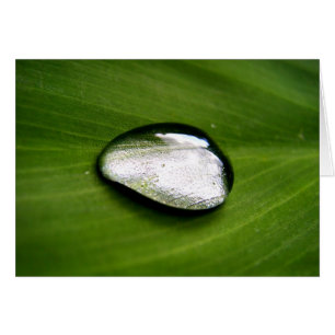 Carte Zen Rain Drop