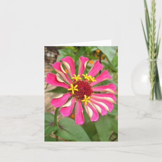 Carte Zinnia multicolore (Devant)