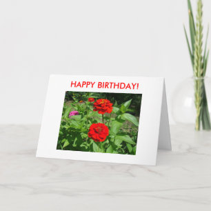 Carte Zinnias lumineux, JOYEUX ANNIVERSAIRE !