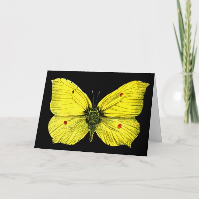 Carte Zitronenfalter (Devant)