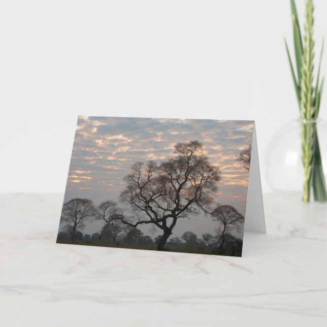 Carte Zones humides du Pantanal | Amérique du Sud, Brési (Devant)