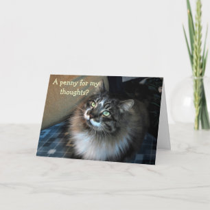 Carte Zorro Chat Irresistible Miss You