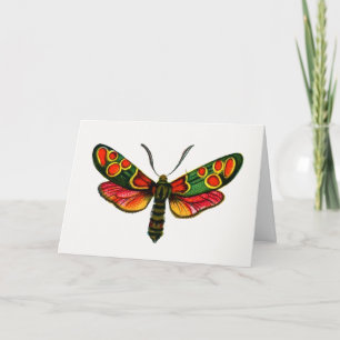Carte Zygaena carniolica - La teigne de Burnet Crepuscul