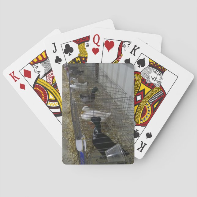 Cartes à jouer au canard (dos)