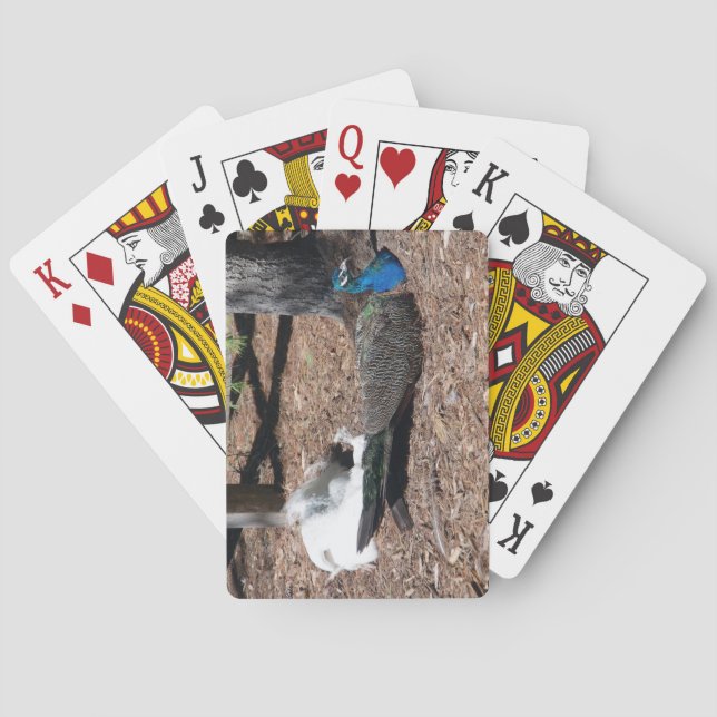Cartes à jouer avec des faisans indiens bleus et b (dos)